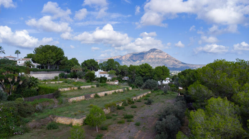 Terrain à vendre