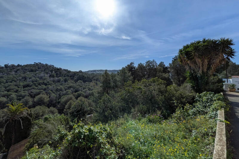 земля продается земля продается