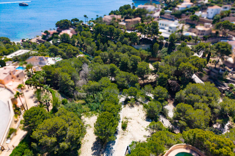 Land for sale