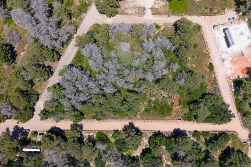 Land for sale Land for sale