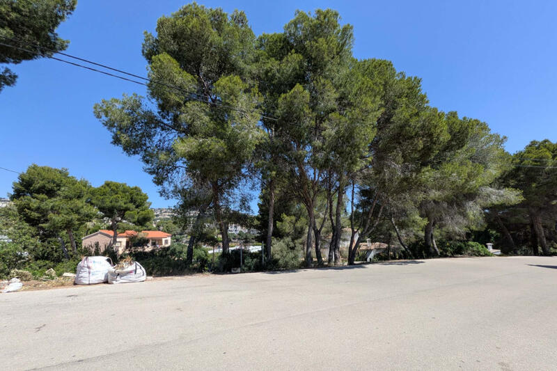 Land for sale Land for sale