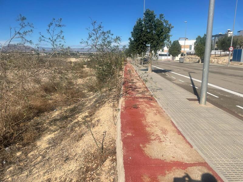 Jord til salg i Benijófar, Alicante