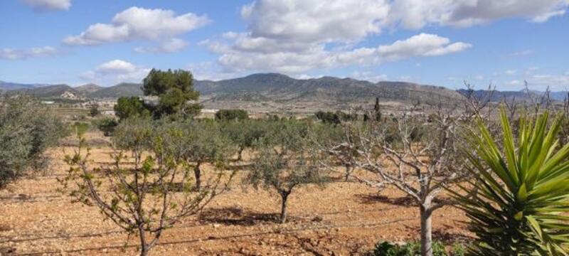4 bedroom Country House for sale