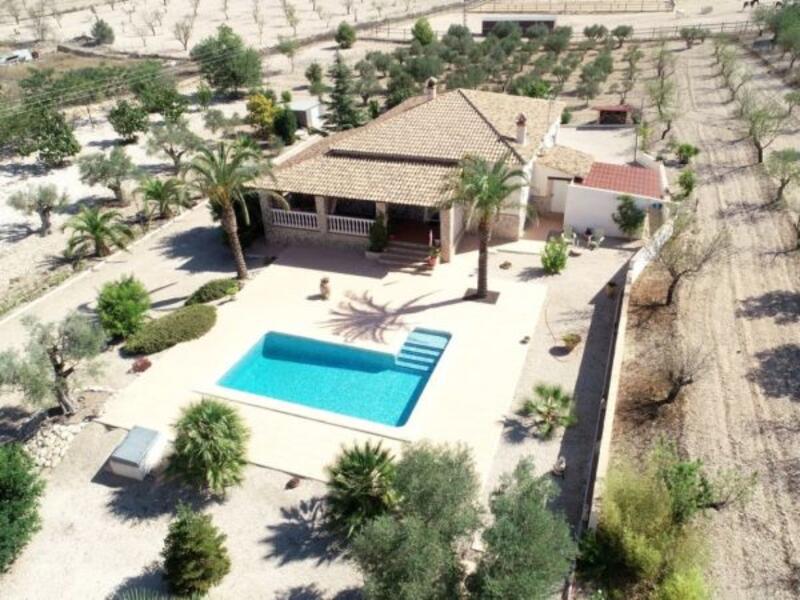 Коммерческая недвижимость продается в Salinas, Alicante