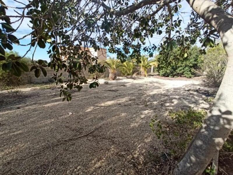 5 chambre Auberge à vendre