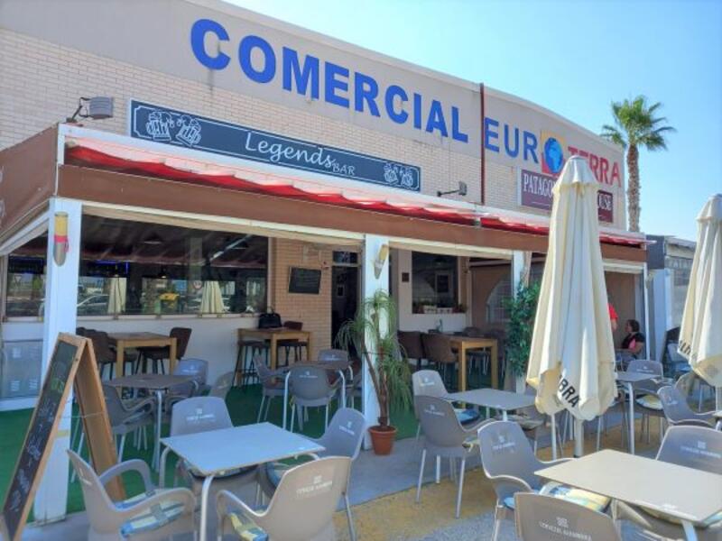 Commercial Property for sale in Guardamar del Segura, Alicante