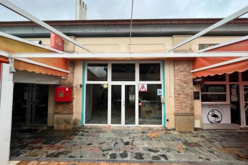 Forretningseiendom til salgs i Algorfa, Alicante