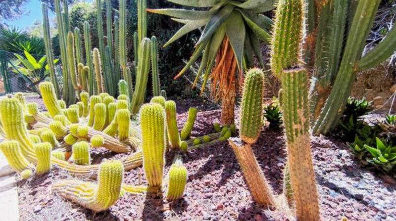 4 soverom Villa til salgs