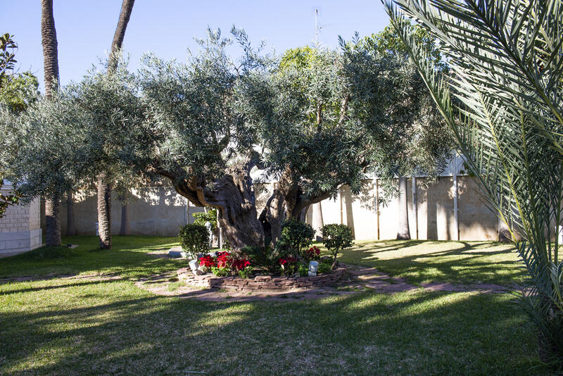 5 chambre Villa à vendre