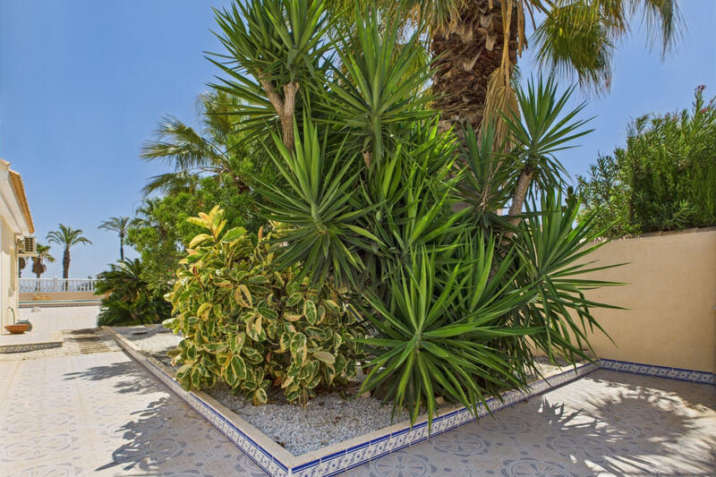 4 chambre Villa à vendre