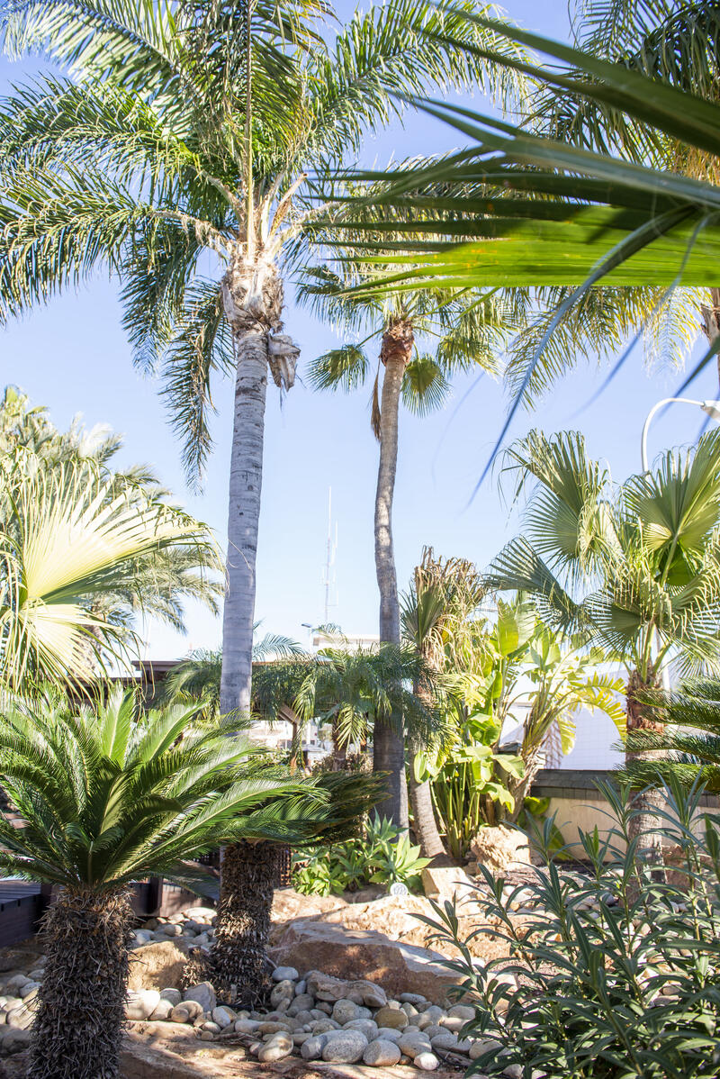5 bedroom Villa for sale