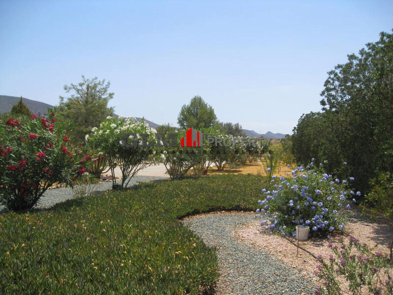 6 Cuarto Apartamento en venta