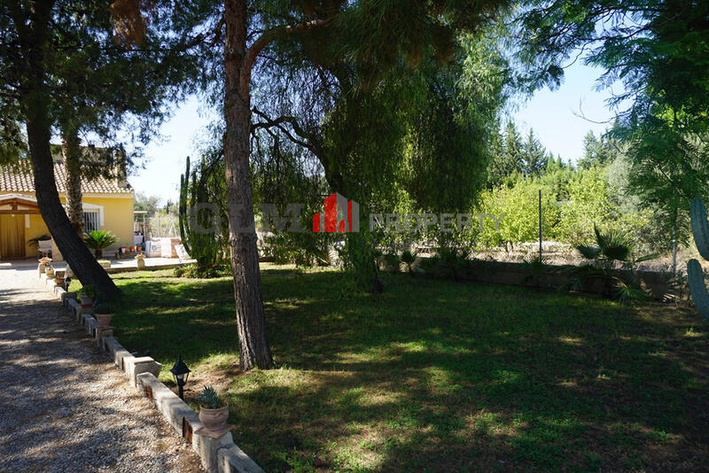 3 soveværelse Lejlighed til salg