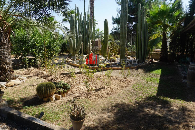 3 soveværelse Lejlighed til salg