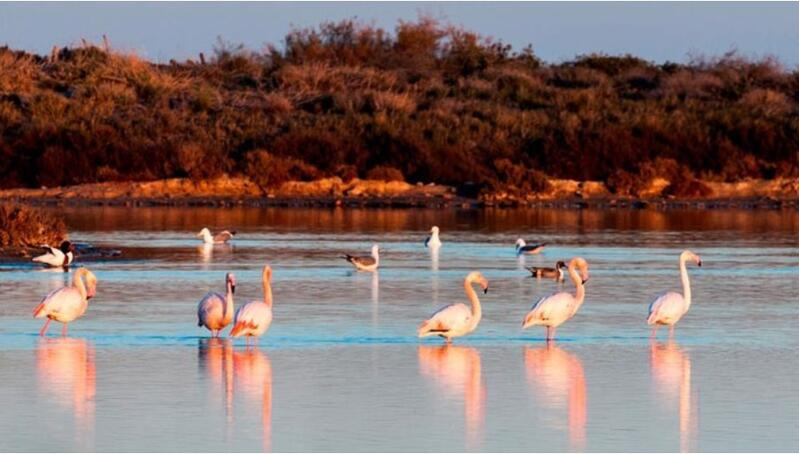 3 chambre Villa à vendre