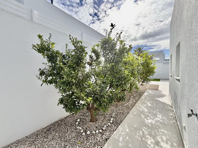 3 chambre Villa à vendre