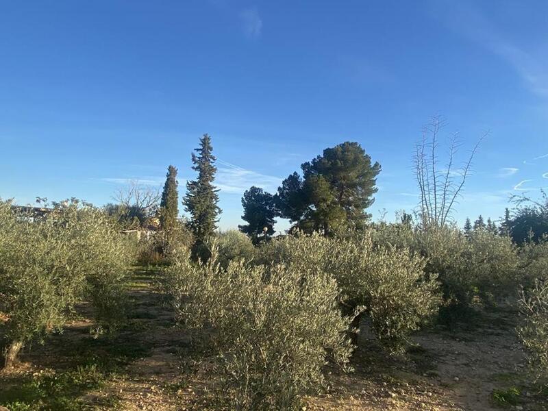 4 bedroom Villa for sale 4 bedroom Villa for sale