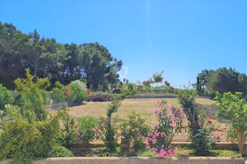 городская тюрьма продается в San Miguel de Salinas, Alicante