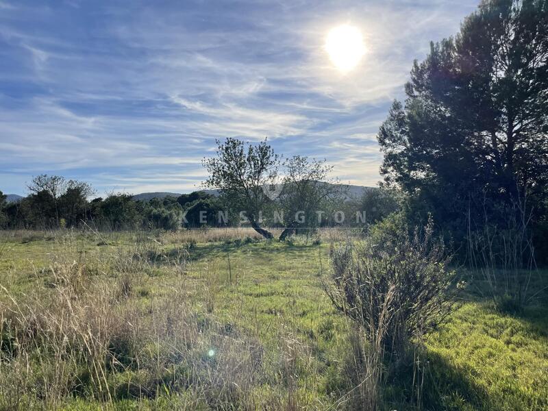 Land for sale in Los Carlos, Granada