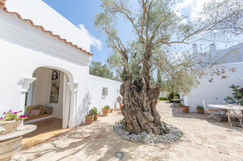 7 Cuarto Casa de Campo en venta