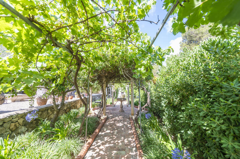 7 Cuarto Casa de Campo en venta