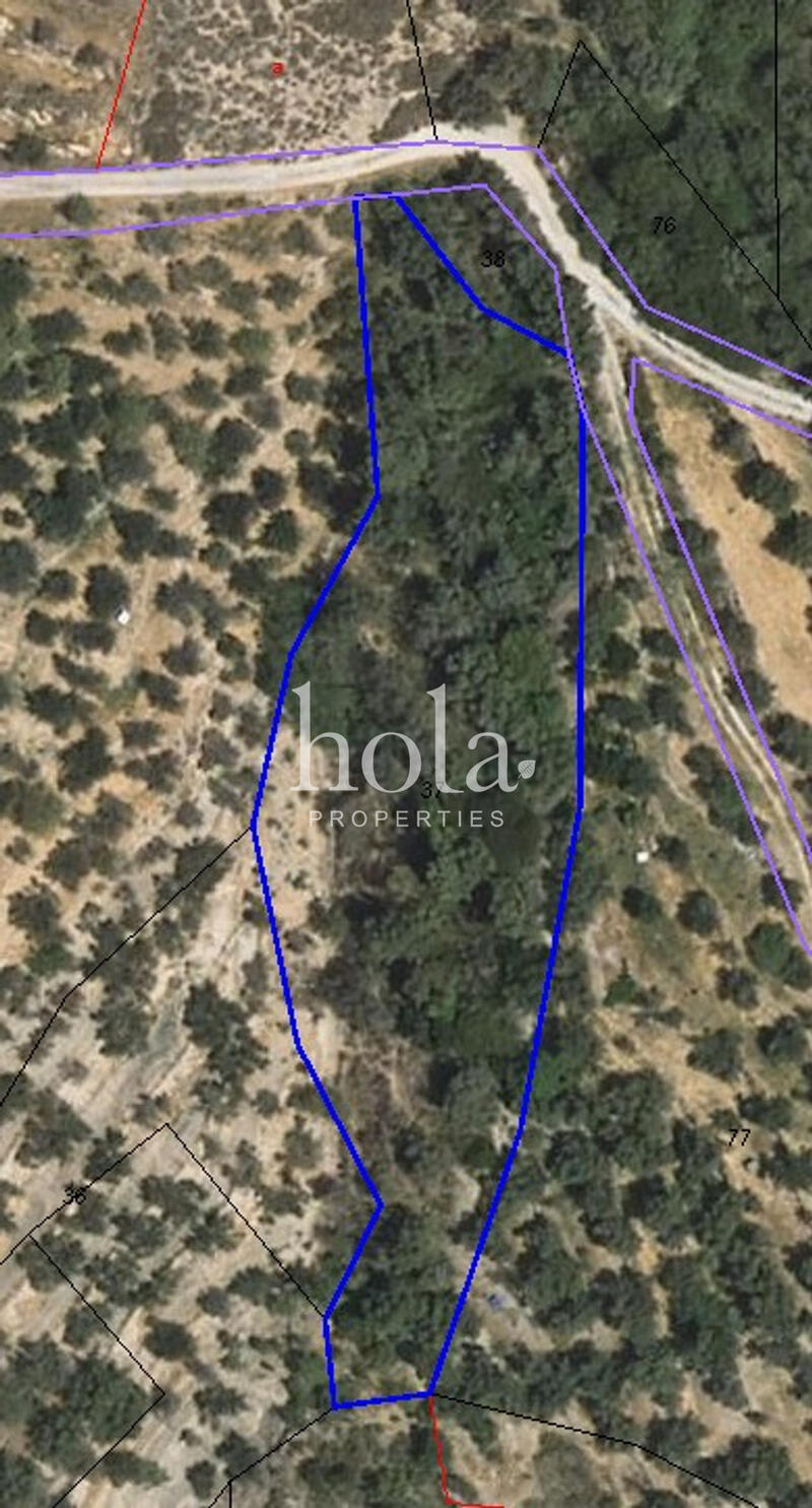 Country House for sale