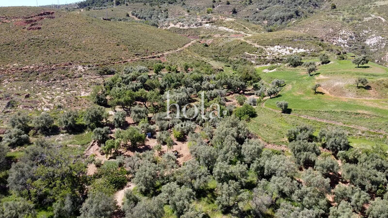 1 bedroom Country House for sale