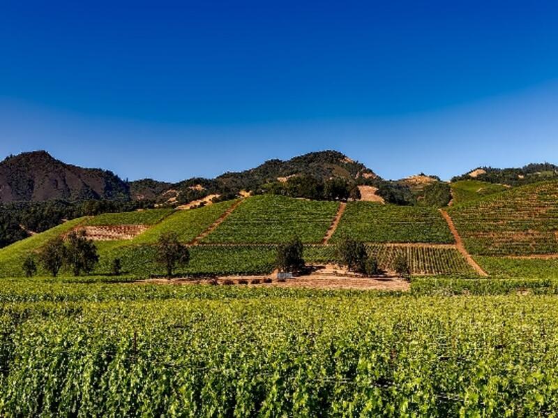 Land for sale in Rioja, Almería