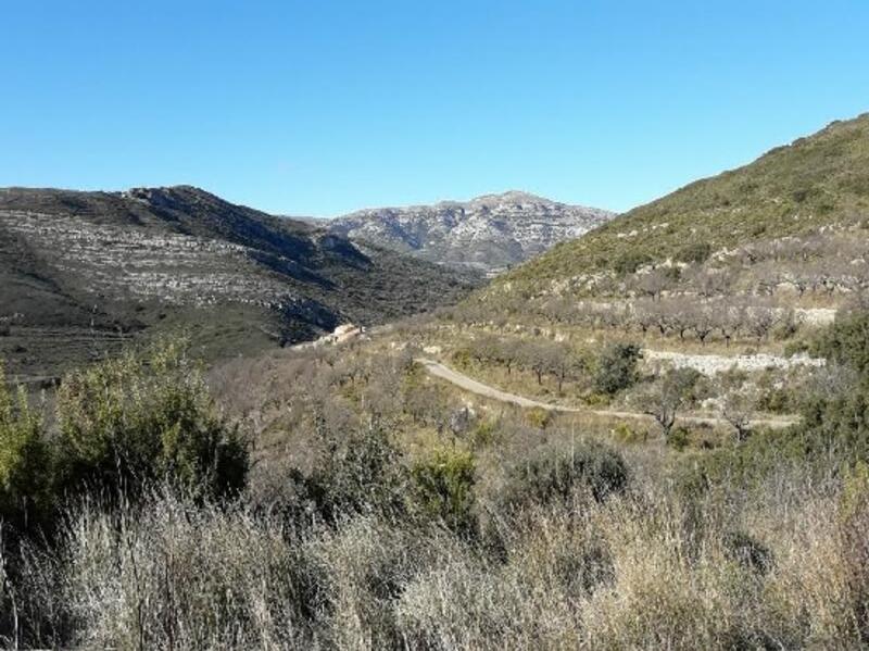 Land for sale in Tirig, Castellón