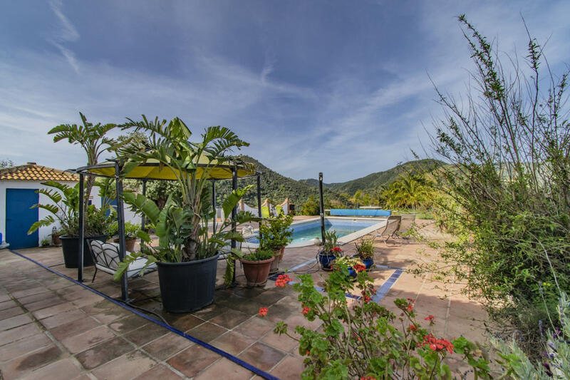 5 bedroom Villa for sale