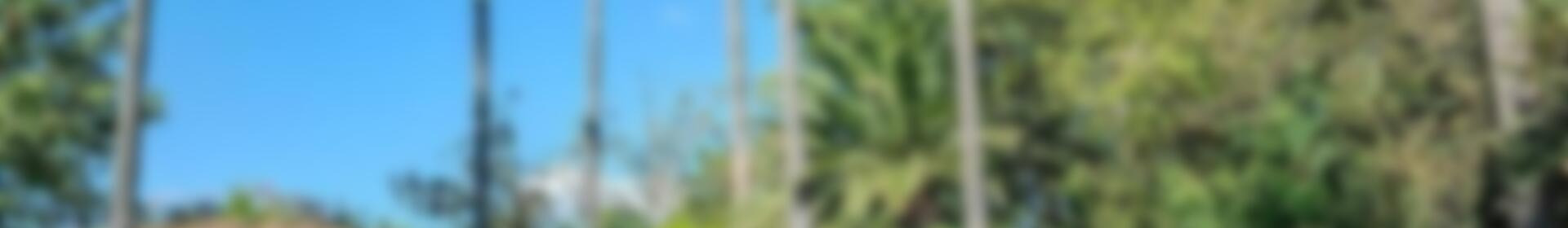 Casa de Campo en venta