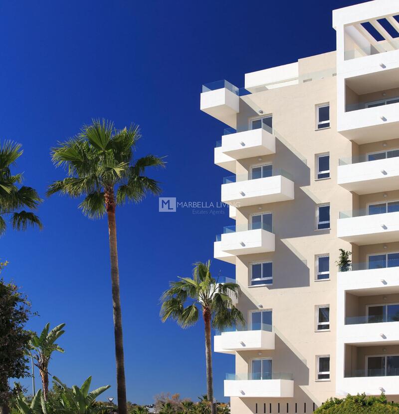 3 bedroom Apartment for Long Term Rent