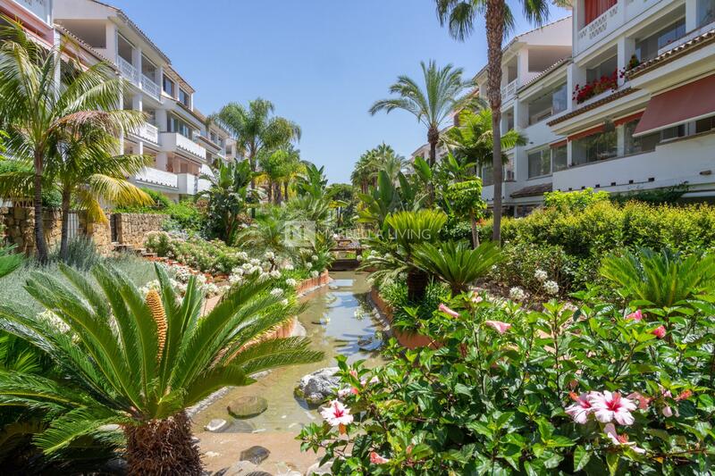 3 bedroom Apartment for Short Term Rent