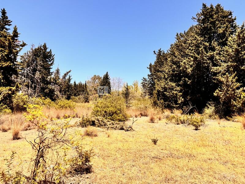 Terrain à vendre dans Estepona, Málaga