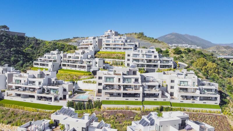 3 bedroom Apartment for Short Term Rent