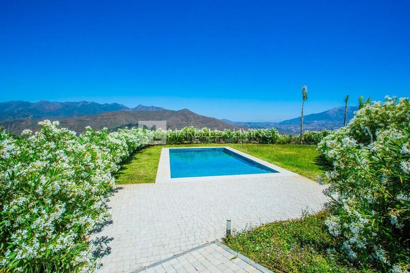 4 bedroom Cave House for sale