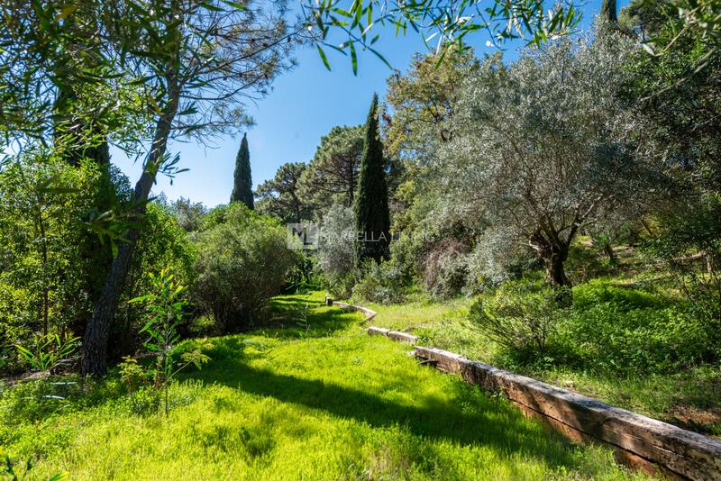 5 chambre Villa à vendre