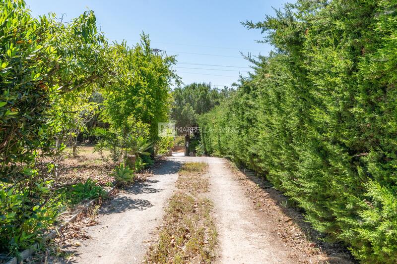 3 soveværelse Landsted til salg