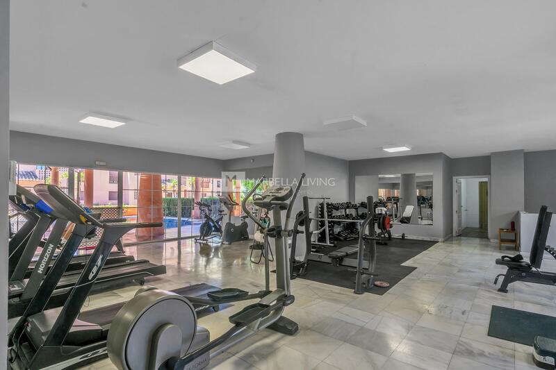 3 bedroom Apartment for Short Term Rent