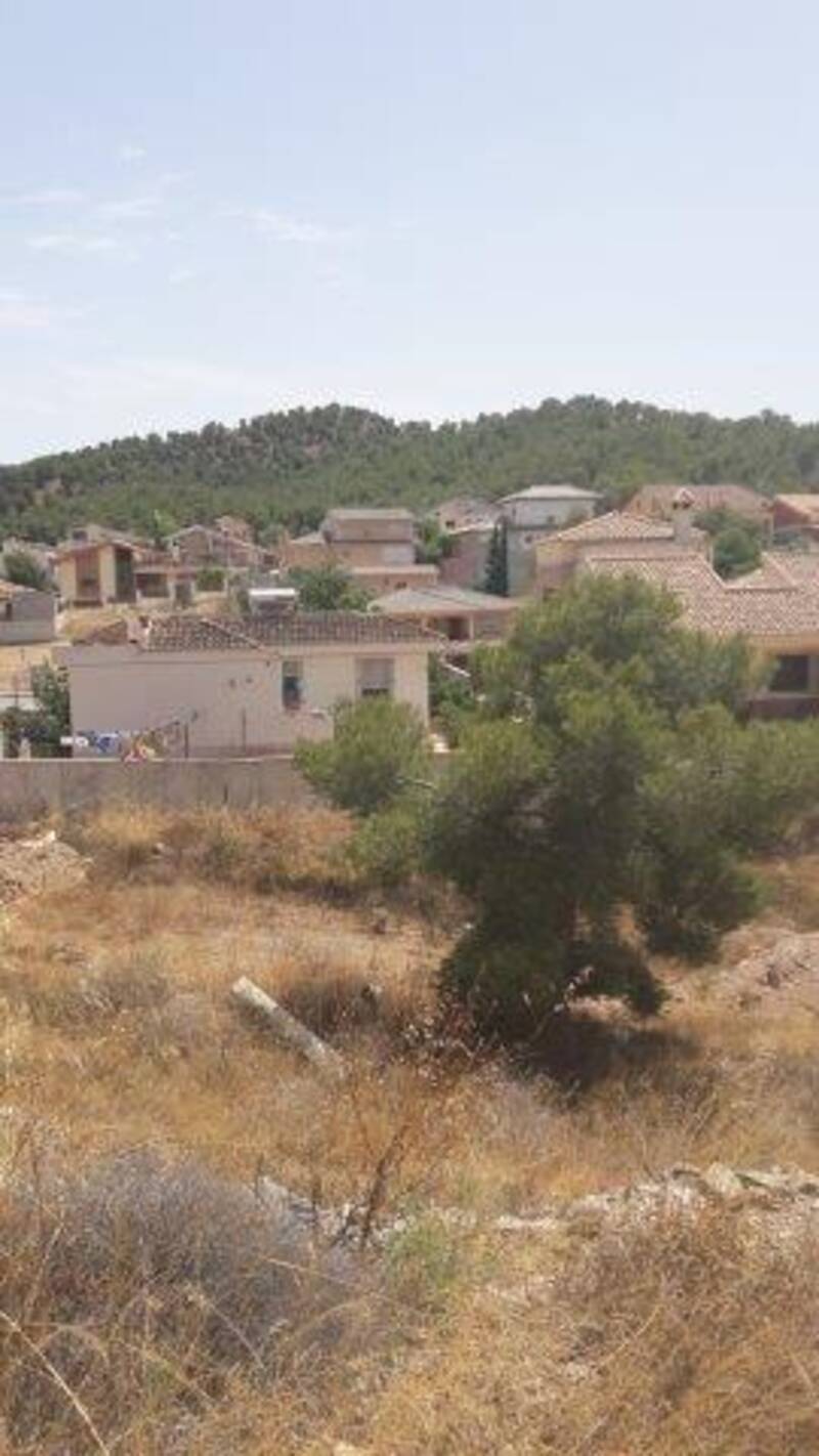 Land for sale in Murcia, Murcia