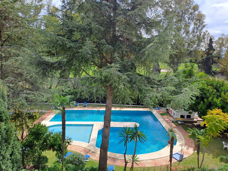 1 bedroom Apartment for Short Term Rent 1 bedroom Apartment for Short Term Rent