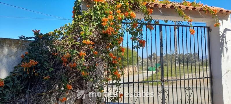 5 chambre Villa à vendre
