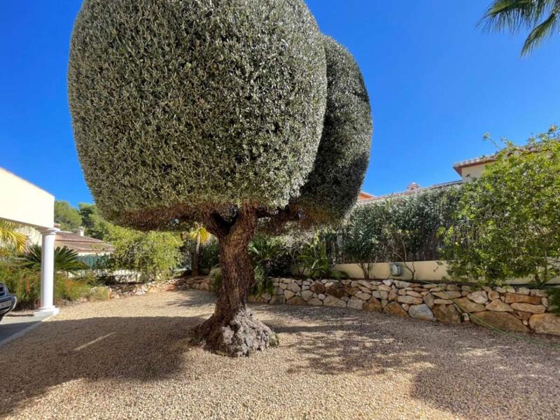 7 chambre Villa à vendre