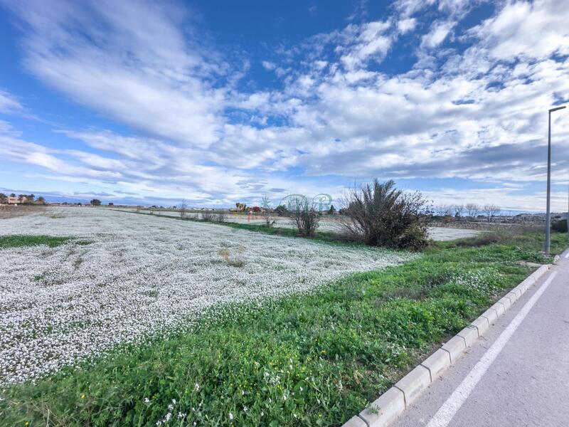 Jord til salg Jord til salg