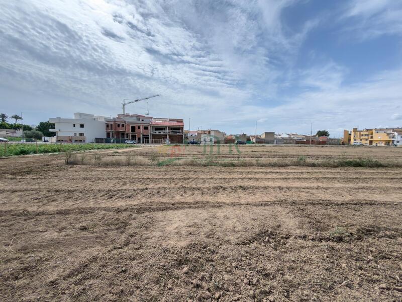 земля продается в Catral, Alicante земля продается в Catral, Alicante