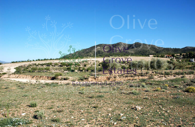 Land for sale