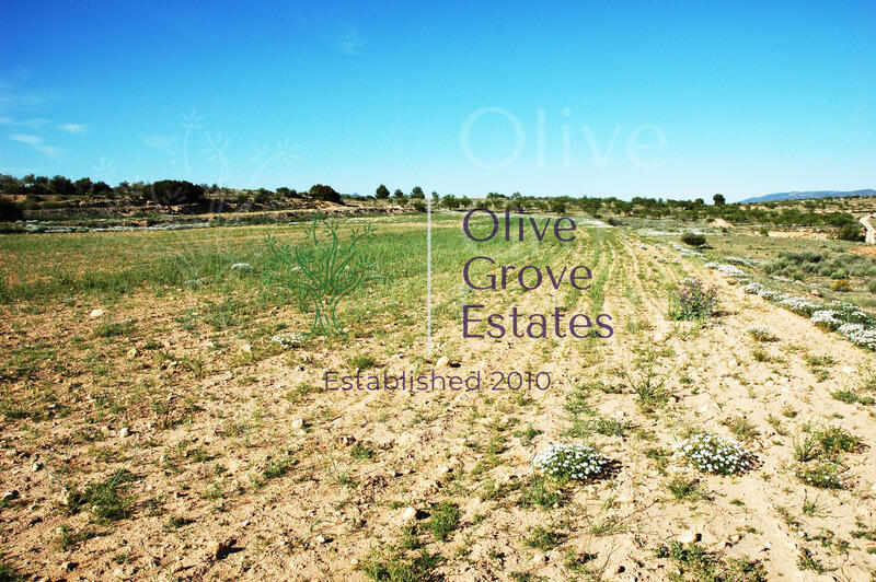 Land for sale