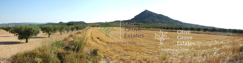 Land for sale in Caudete, Albacete