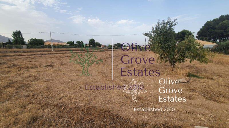 Land for sale