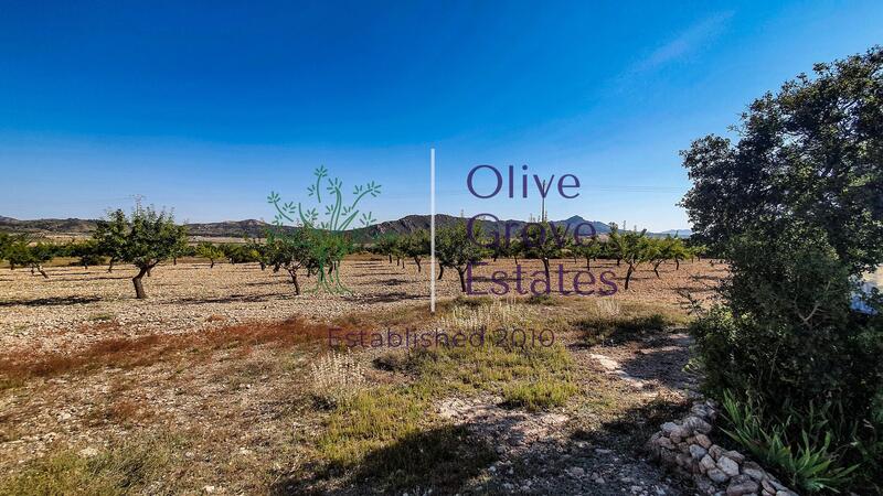 Land for sale in Caudete, Albacete